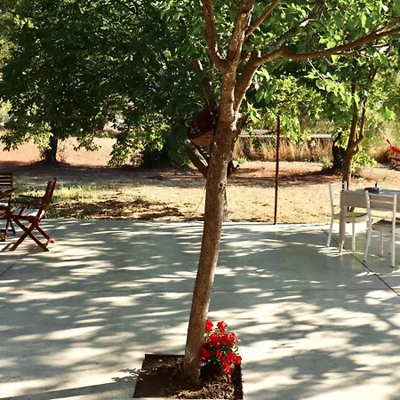 Διαμέρισμα Aura House - Serene And Breezy Under Pines *