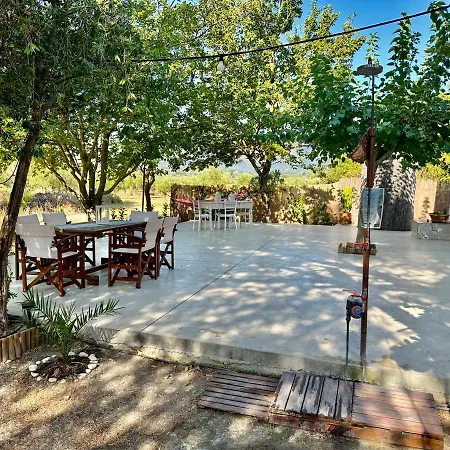 Aura House - Serene And Breezy Under Pines